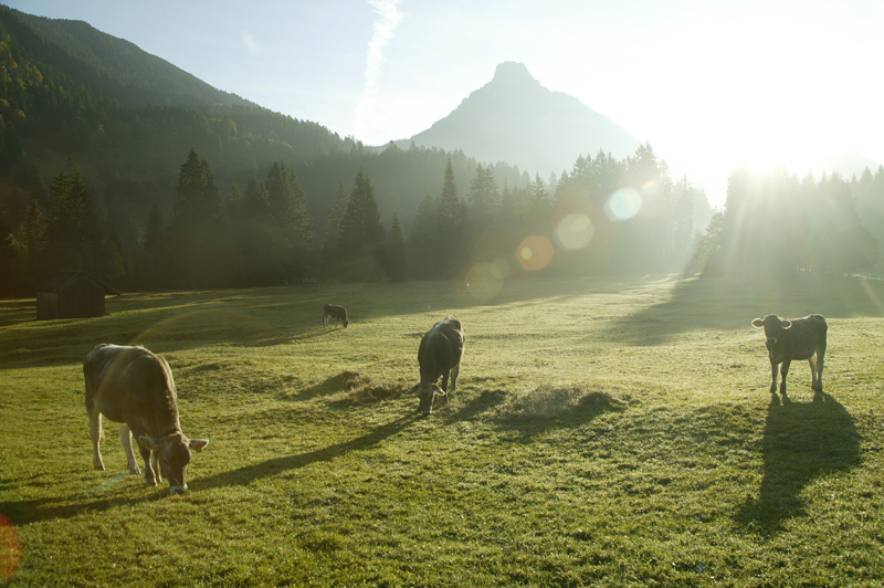 Genießen Sie Ihren Allgäu Urlaub bei einem Sonnenaufgang im Landhaus Grobert